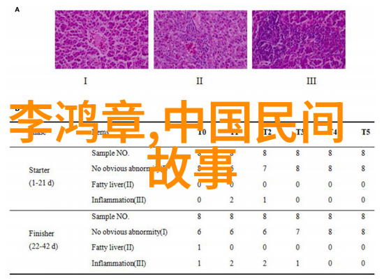 神话故事的起源犹如洪荒之初的星辰一颗颗璀璨的点缀着古老文明的篇章从哪个时代开始这些传说中的人物和事件