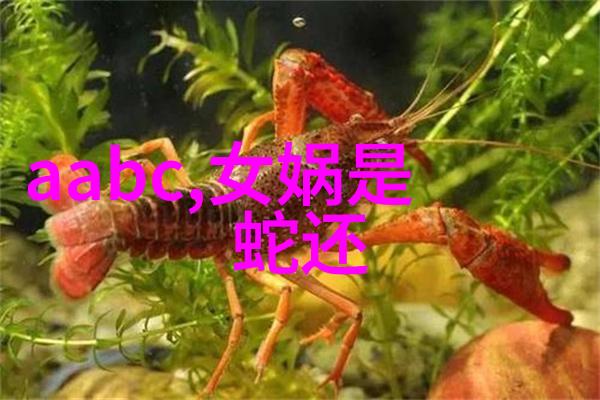 巫师与公主揭秘一千零一夜中魔法的力量