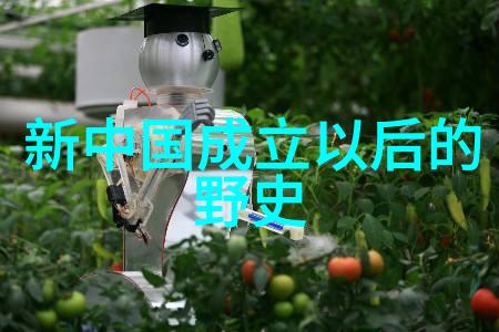 民间故事的智慧之光探索传统文化的深邃内涵