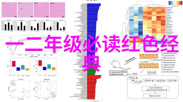 农家狗咬人的神秘原因它们感知到了什么我们不知道的事情