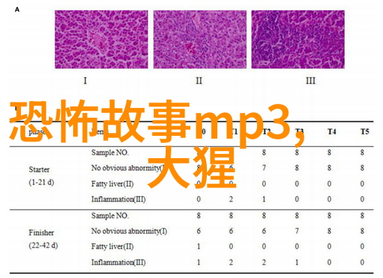 穿越古代讲述一段神话的传奇