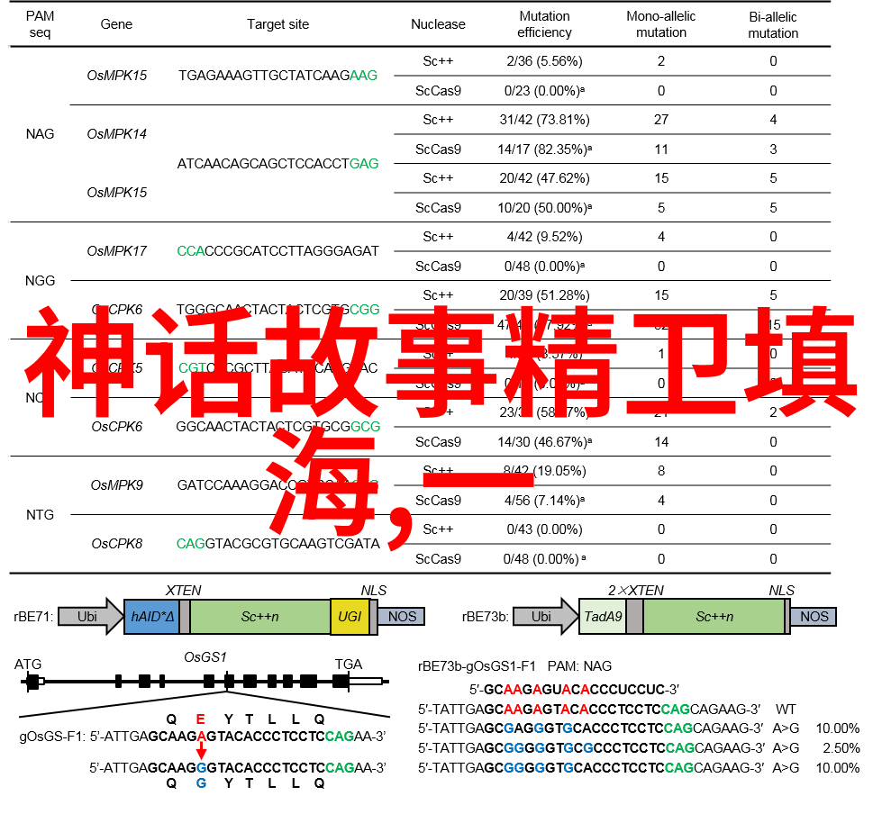 刘亦菲演的靖康电视剧叫-心动刘亦菲在靖康风云中的演绎