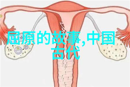 民族之间的对话多元文化背景下的共同主题探究