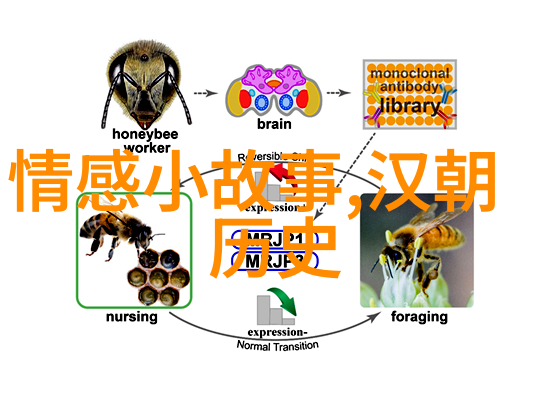 中华传统文化故事大全书籍探索古代经典与民间传说