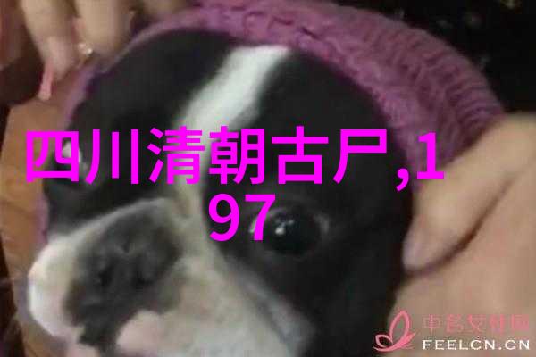 左宗棠之死犹如秋风扫落叶成为2023奇闻趣事大全集中的一个沉重篇章