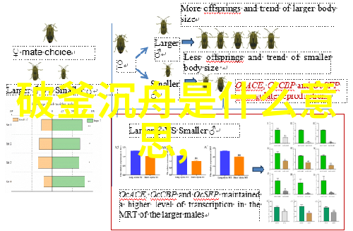 上下五千年免费阅读探索古今知识宝库