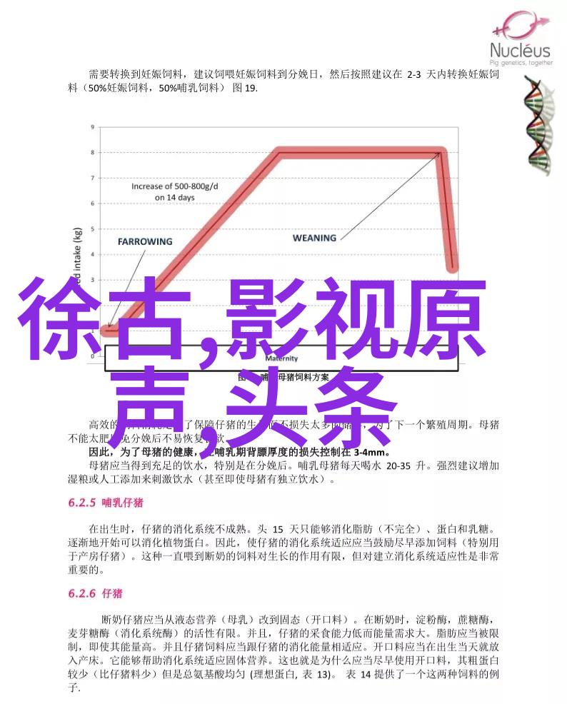 历史长河中的奇迹古埃及法老的神秘陵墓