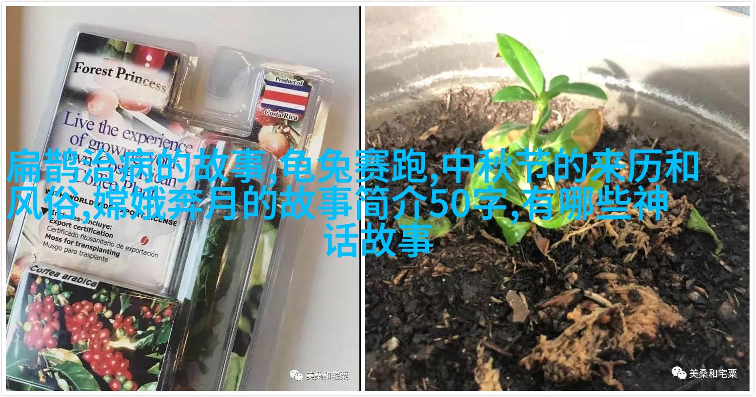 利用等待时间学习