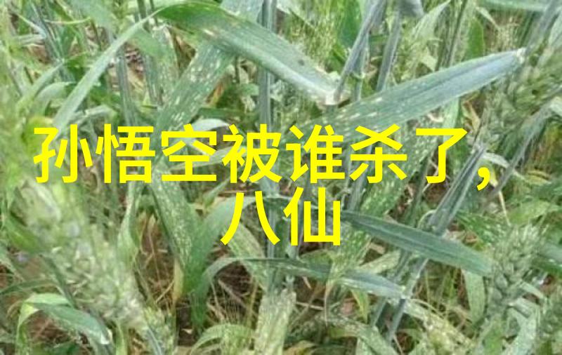 神话故事短篇100字-流光幻影天界花果的秘密