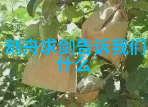 世界未解之谜视频素材-探秘未知揭开地球上最深奥的秘密