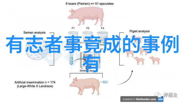 明朝最强杰出人物探秘