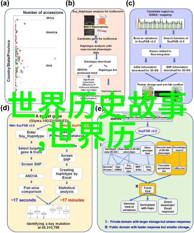 猫头鹰的守护之歌温馨的小说适合每个夜晚