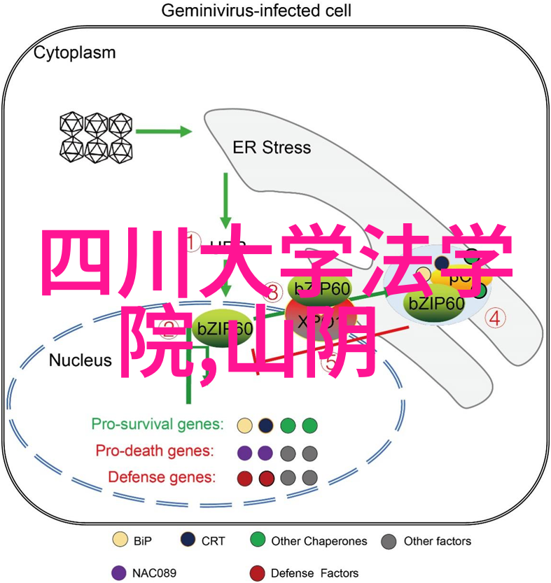 三国演义中的智谋与勇略能在现代管理中应用吗