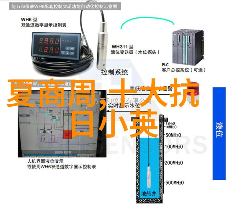 小勇士的大战役十大抗日英雄的传奇故事