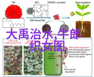 关于月亮的神话故事 - 明月倾城跨文化探索古今传说