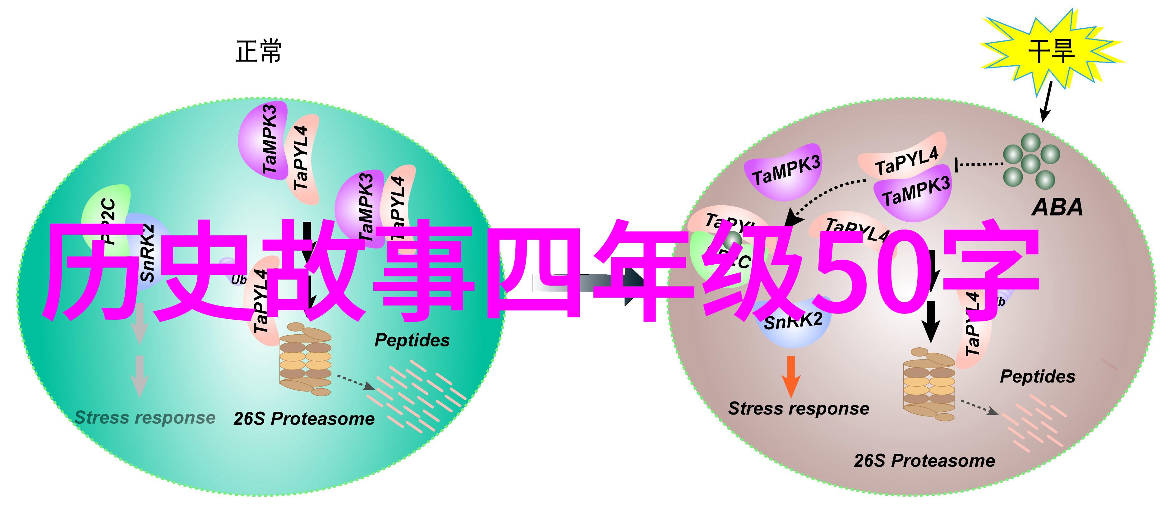 趣闻轶事典故老张的奇遇从一块废铁到市井英雄