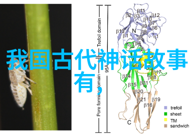 东方市场与西方资本主义19世纪国际贸易格局变化分析