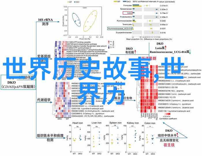 春节联欢晚会背后的丰富文化内涵