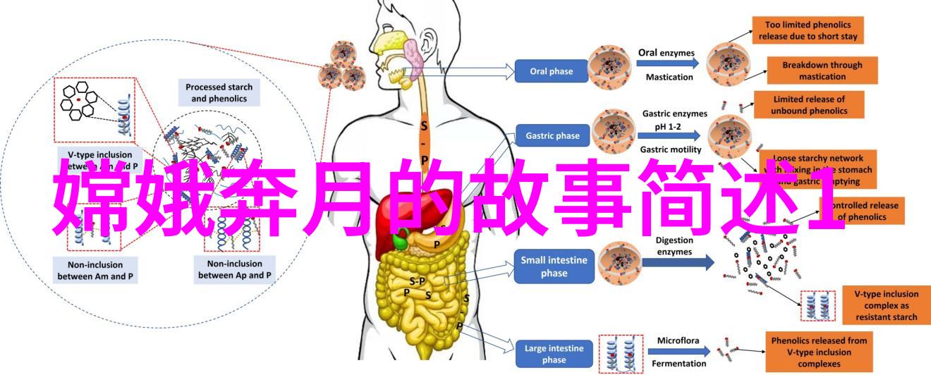 中国历史app我在时间的长廊里遇见了你