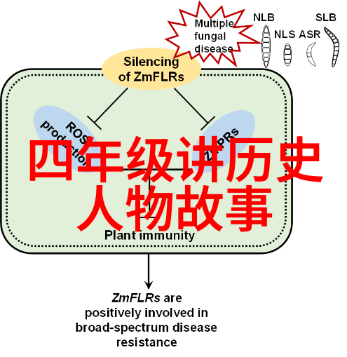 从石器到智慧生命女娲如何塑造了人类