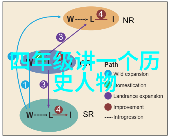 曹操之手下从豪杰到枭雄的蜕变