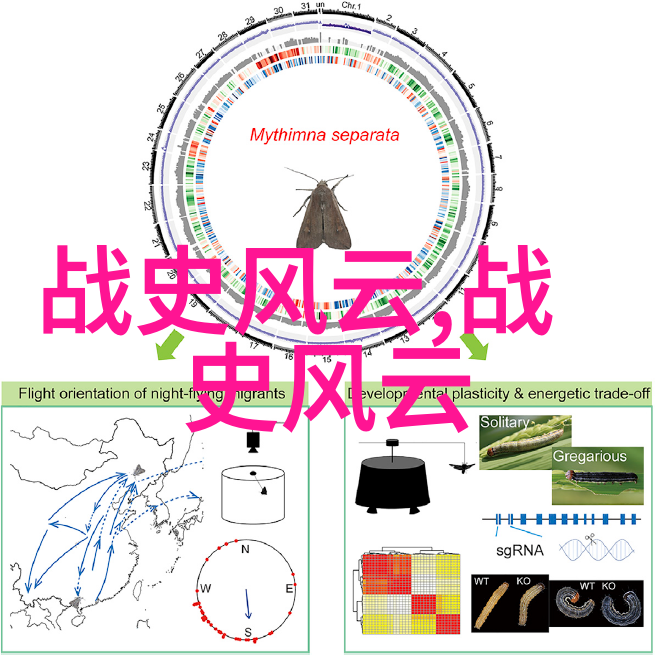 历史探秘揭开古迹的神秘面纱