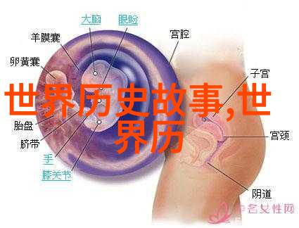 皇冠X8X8海外华人首页域名桥梁与梦想的交汇点