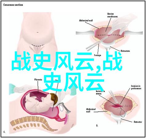 小77网站探索数字时代的创意与社区