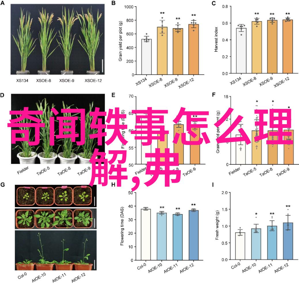 中国神话故事百态传说与奇缘的探索