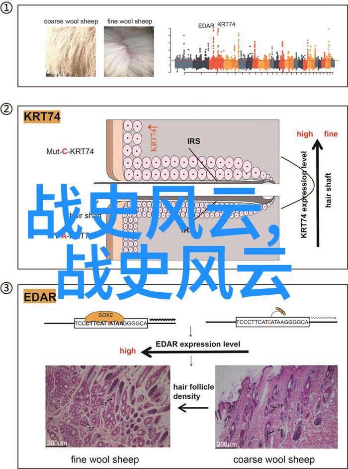 探秘看世界奇闻异事素材网揭开全球奇迹与惊谜的窗户