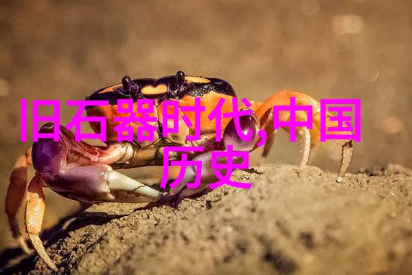 小熊的牙齿奇遇从黑森林到洁白森林