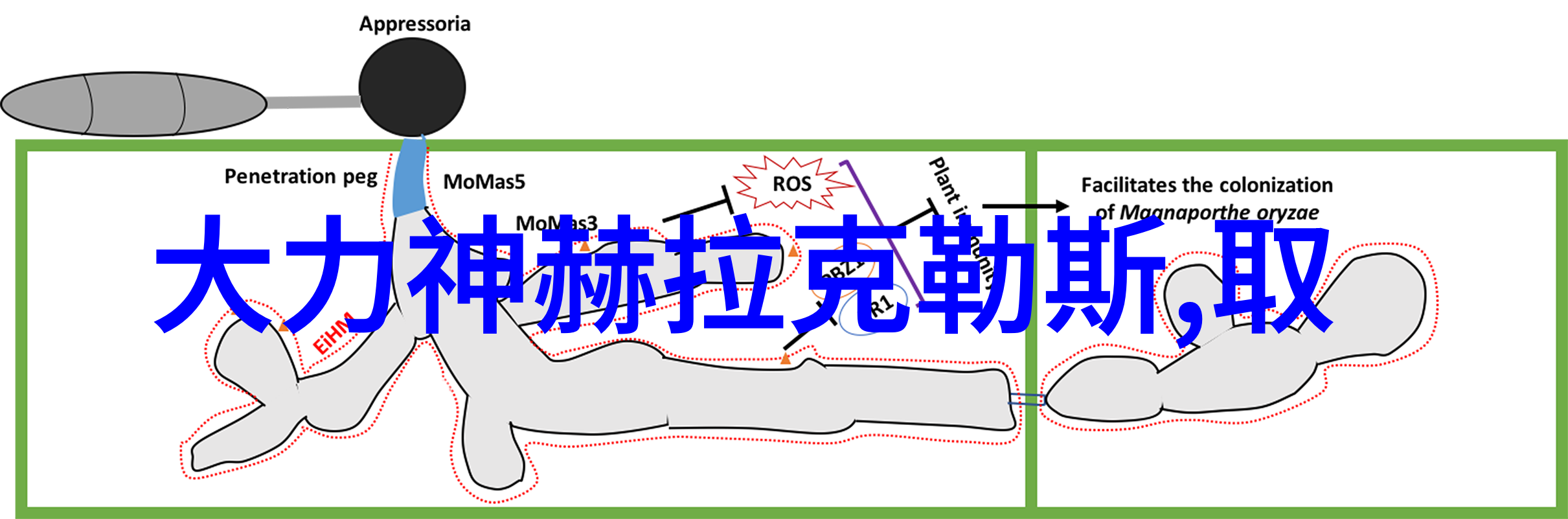 新老交替下的电话服务体验差异是什么