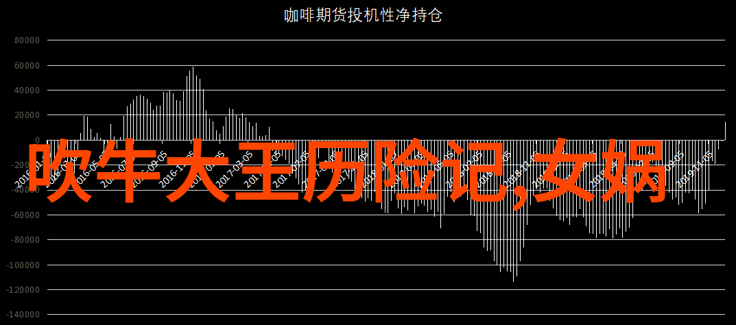 奢华之音探索奢字背后的读音与文化内涵