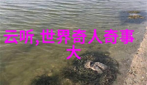 学者们是怎样评判满洲族统治的合理性