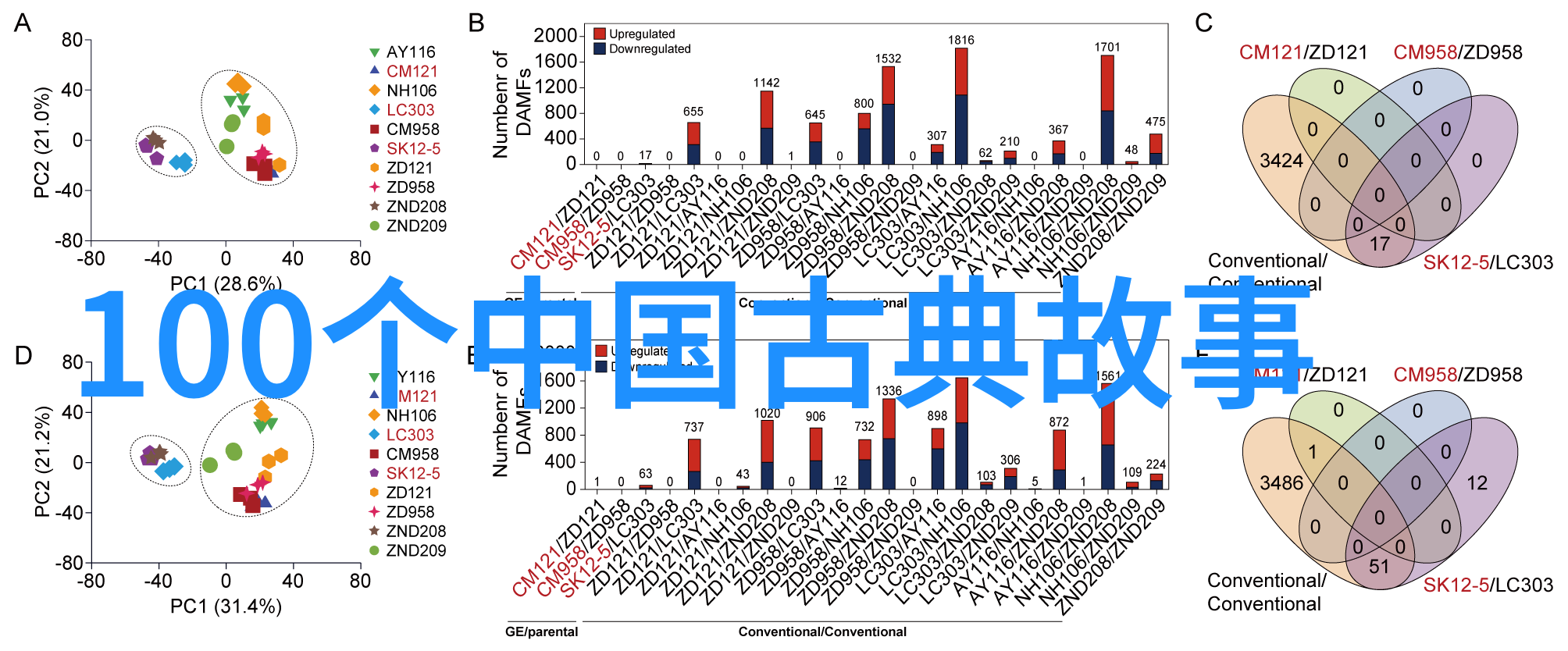 心灵之歌二年级学生朗诵红色经典