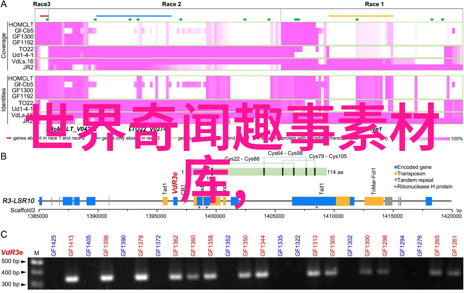 明朝时期为防止外戚干政竟把公主嫁给平民仿佛在今日的故宫参观中也有10大忌讳需要我们小心避免才能与这片