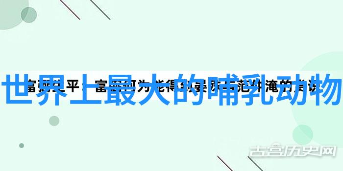 BGMBGMBGM老太太70我家的这位老太太七十大寿了