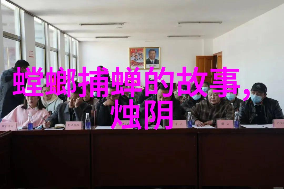 国际关系中的内政调整如何看待朱棣登基后的外交政策选择