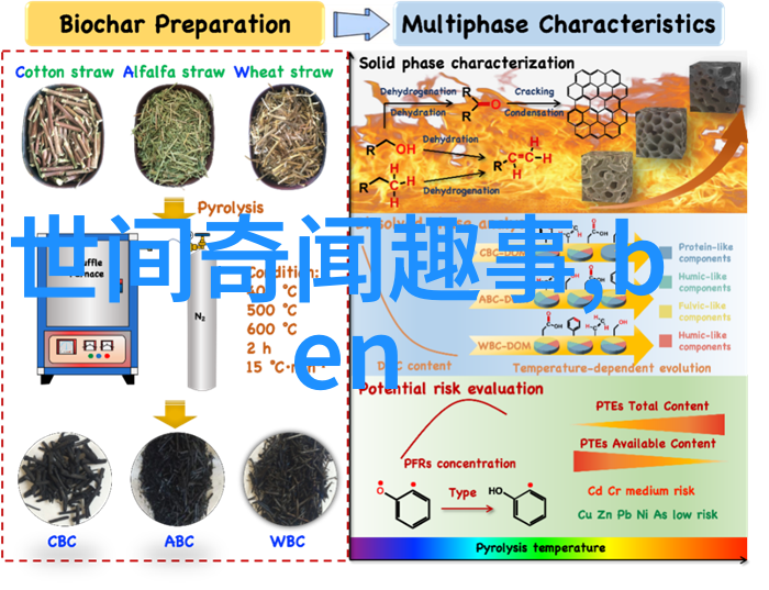 中国历史上的野史之谜古墓之谜