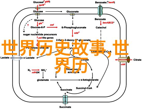 中国民间故事探秘五年级学生的奇幻旅程