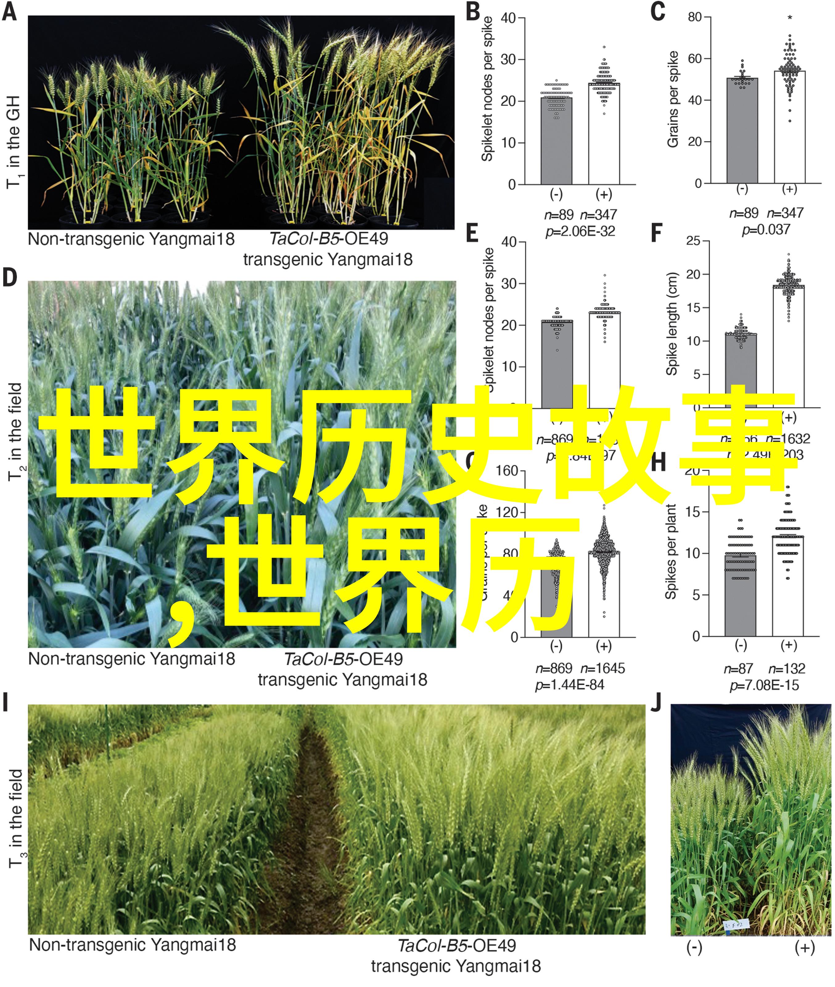 明朝那些事读后感大学穿越时空的历史探索