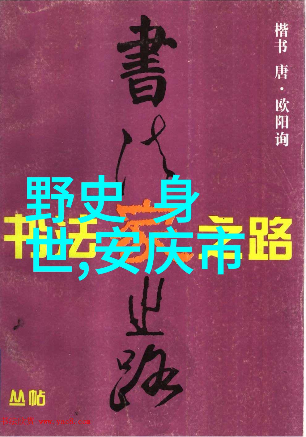 历史趣闻探秘-揭秘古今奇闻录野史趣闻的魅力与奥秘