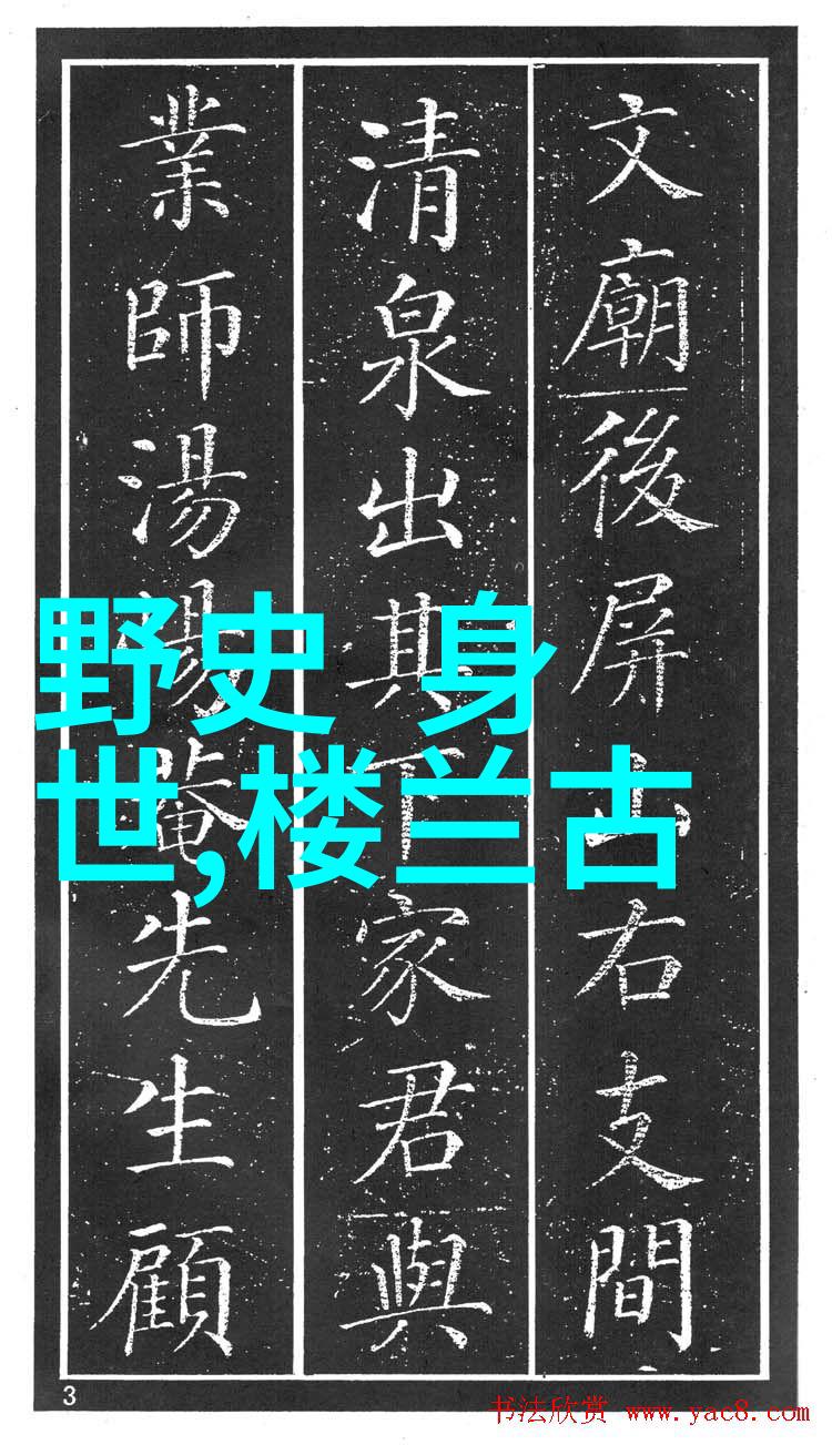 历史上有争议的野史你没听说过的那些隐藏在历史角落的秘密故事