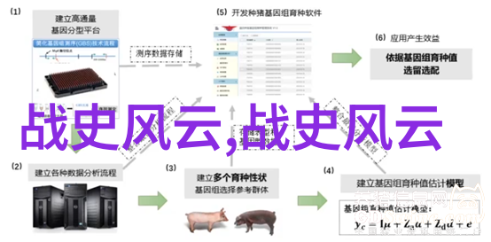 戏剧魅力揭秘京剧中的七大角色