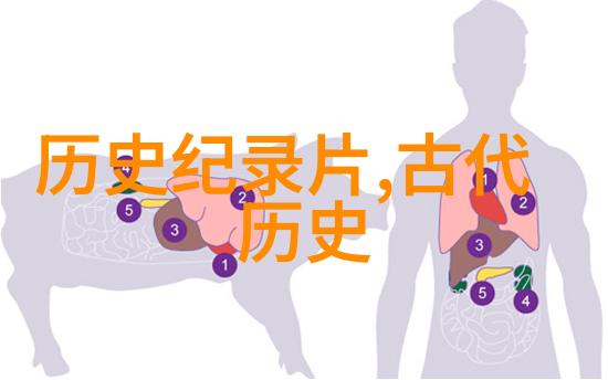 在古老的森林里有一棵千年橡树它的根深入地窟直达天界这个故事讲述了一个勇敢的小猎人和他如何触及天界之门