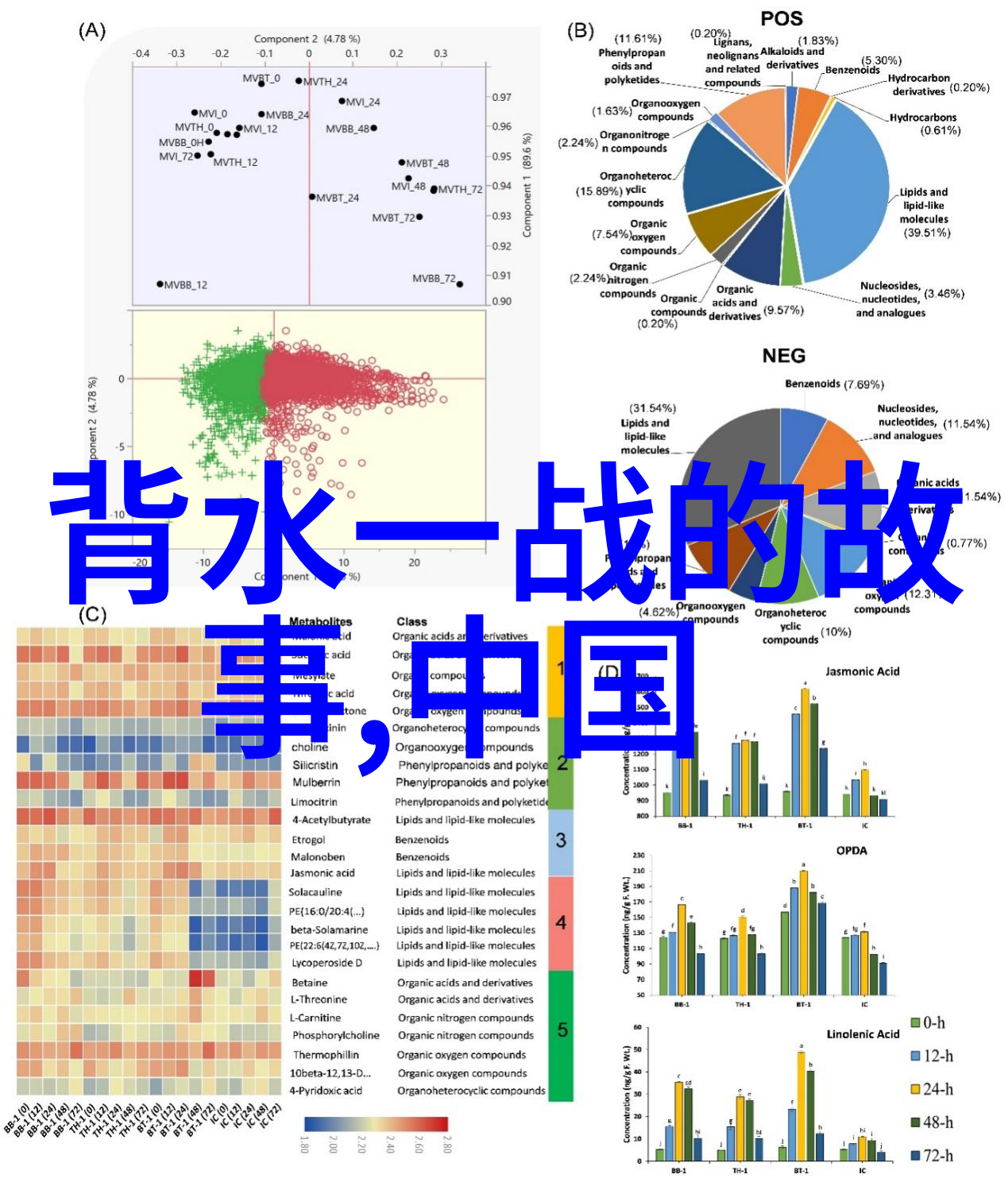 揭秘中国神话故事从龙凤传说到后土娘娘的奇幻世界