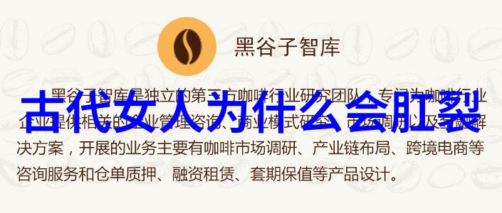 青罗扇子传统艺术与现代魅力相结合的文化象征