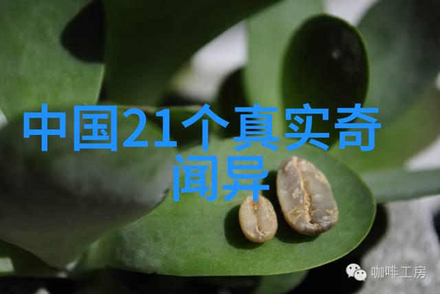 岁月的纹章传统文化小故事