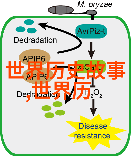 海底城堡里的海怪儿童节庆典不为人知的事实真相