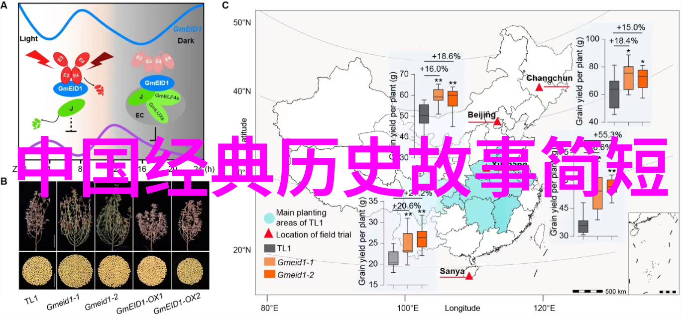 通过阅读神話故事我们能否发现一些跨越時間與文化的共同主題或模式